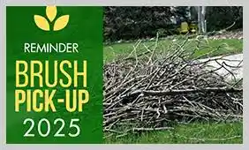 Notice: 2025 Spring Cleanup 
